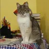 Отзыв от Карина Казакова